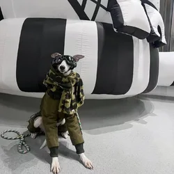 Chaqueta acolchada cuello tortuga para Whippet y galgo italiano