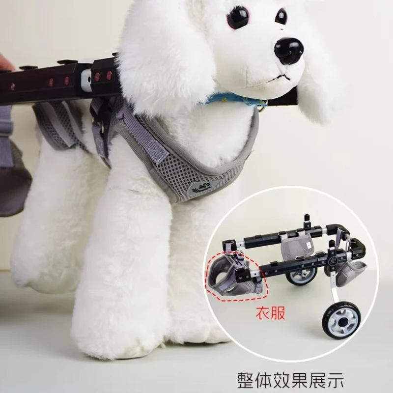 Silla de ruedas para perros pequeños y gatos – Rehabilitación trasera - imagen 3