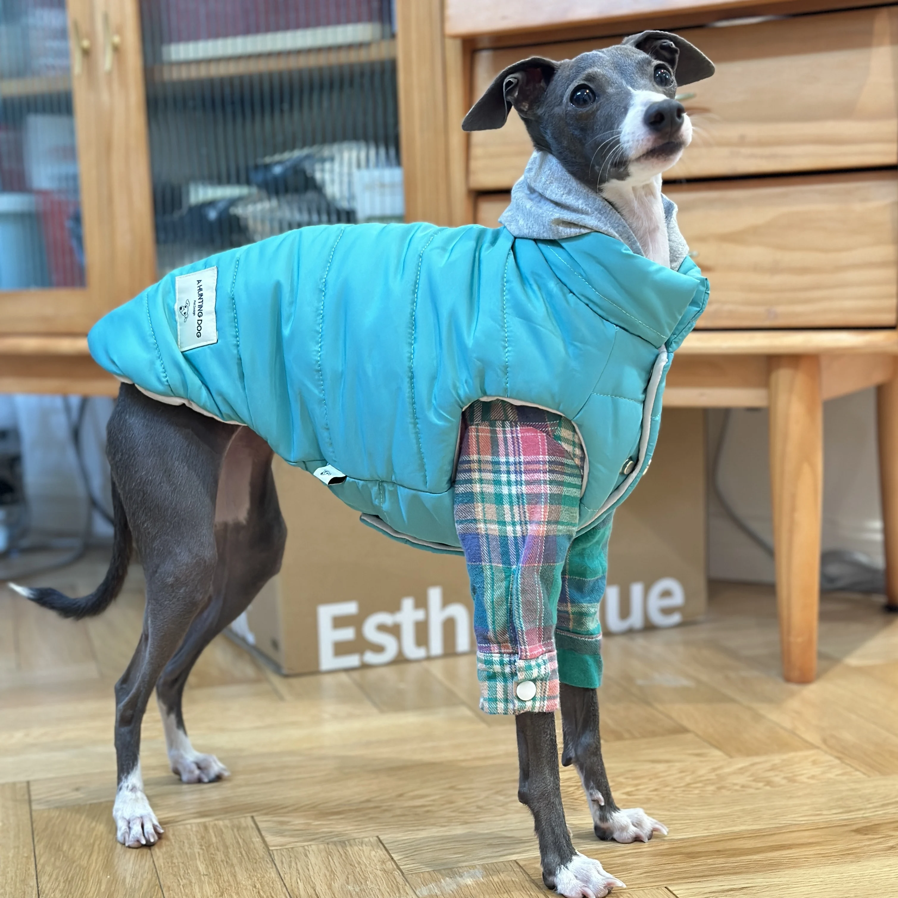 Chaqueta Iggy de moda con cremallera, abrigo cálido para perro galgo para Whippet, chaqueta azul a prueba de viento para Terrier sin aire en invierno