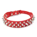 Collar Red