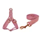 Harness and Leash
