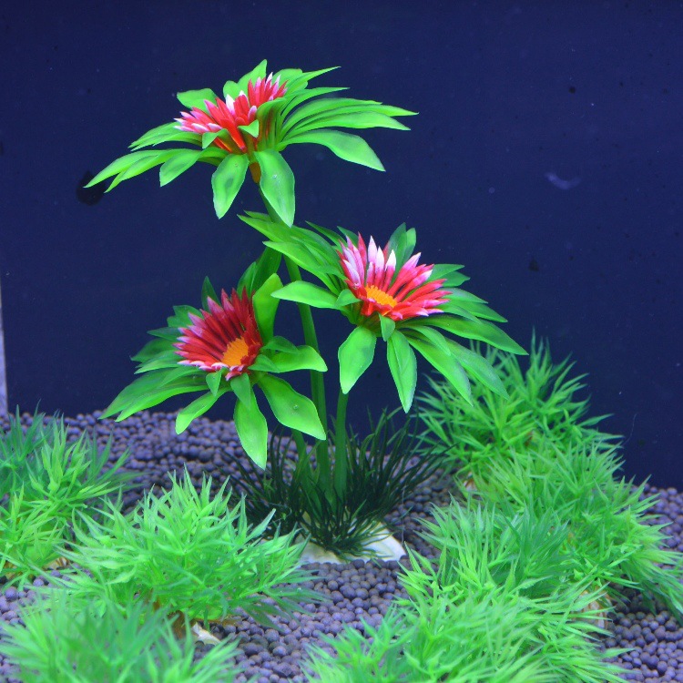 Plantas Acuáticas Acuario - uso en pecera