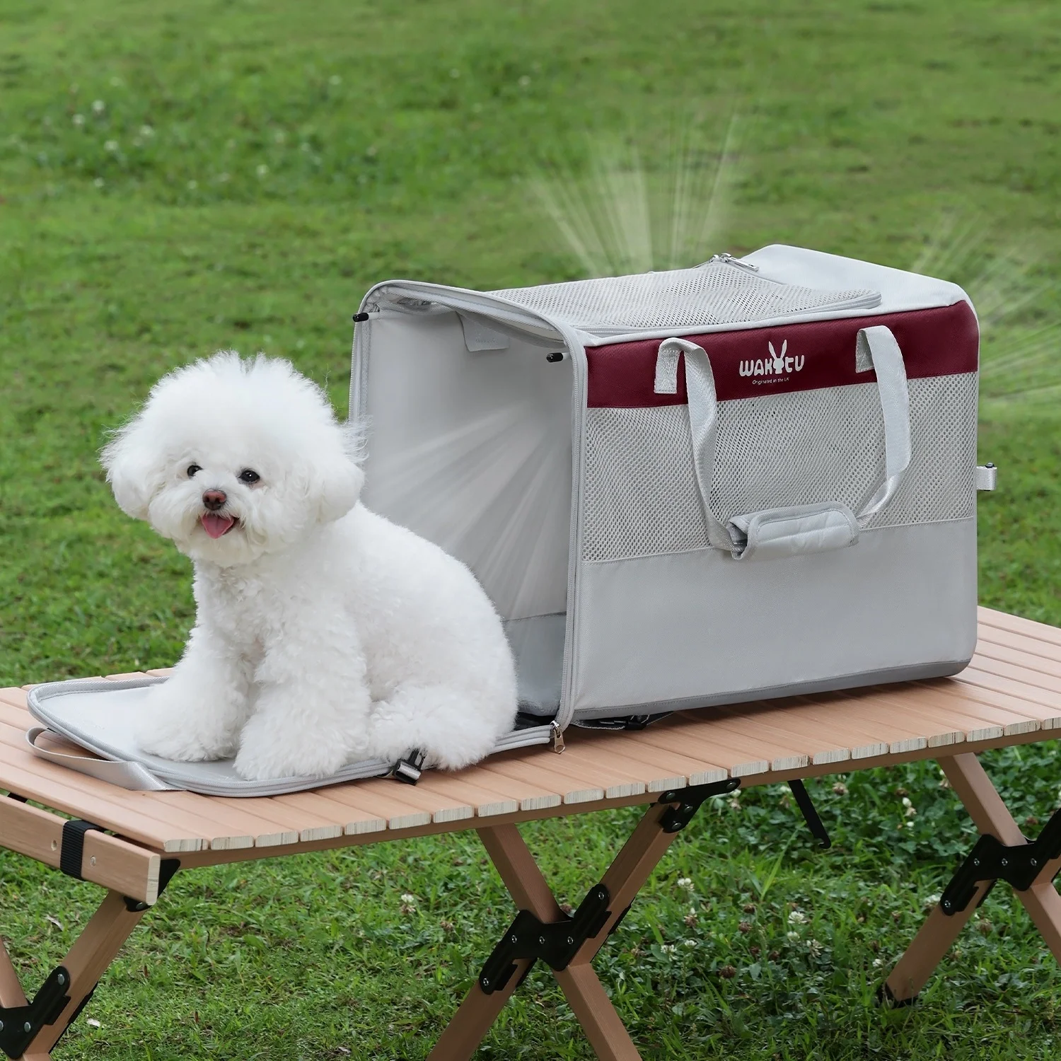 Transportín de lujo para mascotas, bolsa espaciosa transpirable para gatos y perros pequeños, transportador de viaje para mascotas, bolsa para gatos de cara suave, portadores de animales - imagen 2