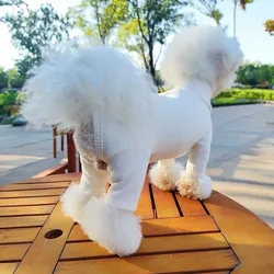 Chaqueta para Schnauzer mini y cachorros