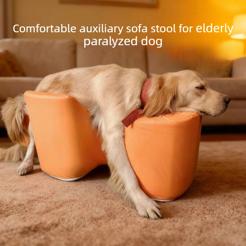 Cama ayuda para perros mayores – Base antideslizante para articulaciones y rehabilitación