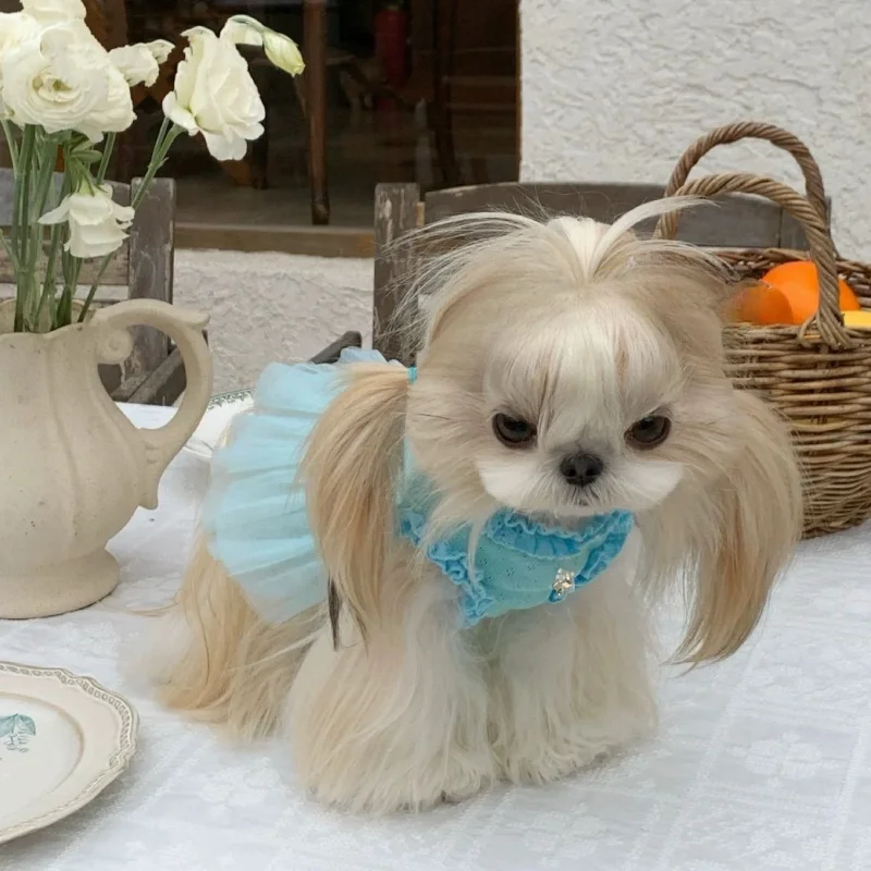 Ropa azul de moda para mascotas, vestido de malla de verano para perros pequeños, falda abullonada de flores fragantes, vestidos para perros pequeños - imagen 2