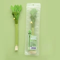1pc celery