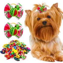 Lazo de pelo para perros y gatos – fruta verano accesorio aseo