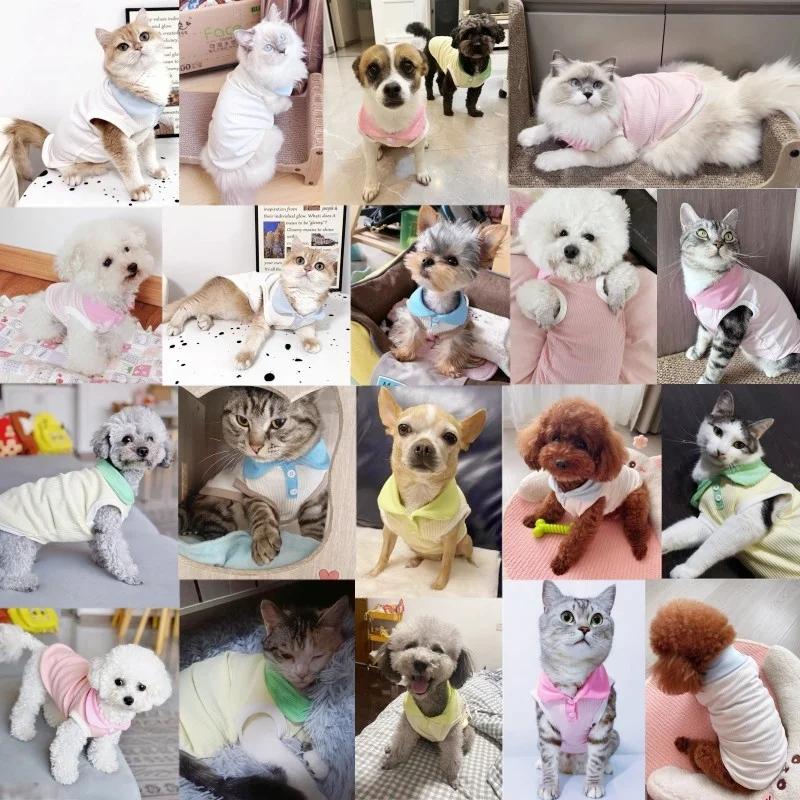 Polo camisa para perro, ropa a la moda para perros, chaleco fino de verano para cachorros, jerséis bonitos y sólidos para gatos, camisa transpirable para mascotas, disfraces para perros caniche York