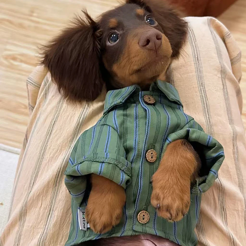 Camisa a rayas verdes para perro salchicha con corbata - Primavera - imagen 4