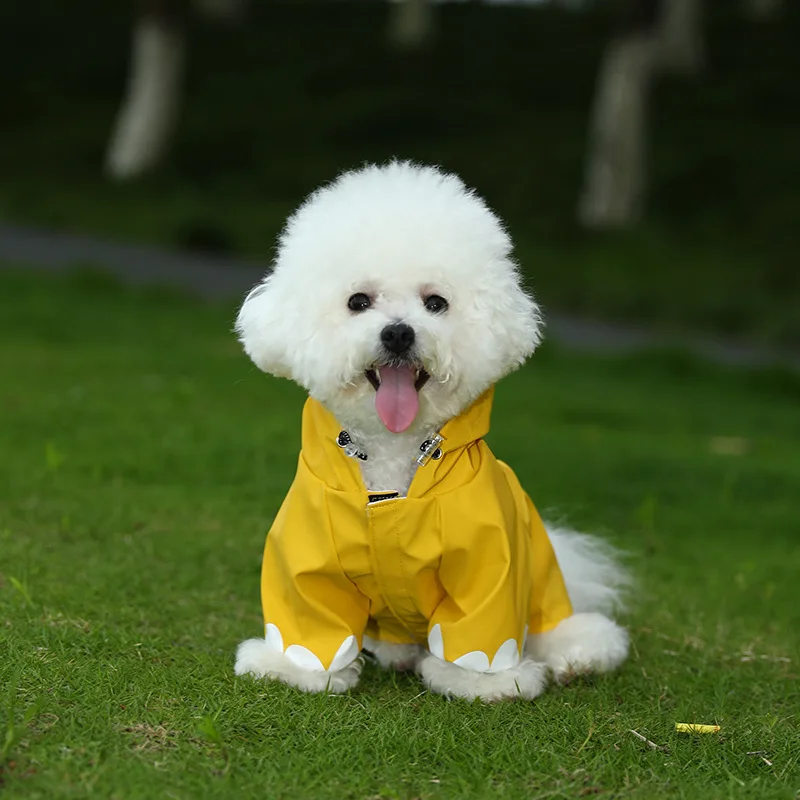 Nuevo Chubasquero Transformable de dibujos animados para mascotas, abrigo impermeable para perros para Bichon Teddy Corgi, protección Universal contra la intemperie para mascotas - imagen 2