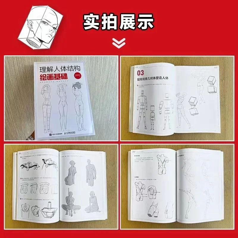 La comprensión de la estructura del cuerpo humano: entrenamiento dinámico + Principio de perspectiva + dibujo básico, pintura de Anime, libro de arte Tutorial - imagen 5