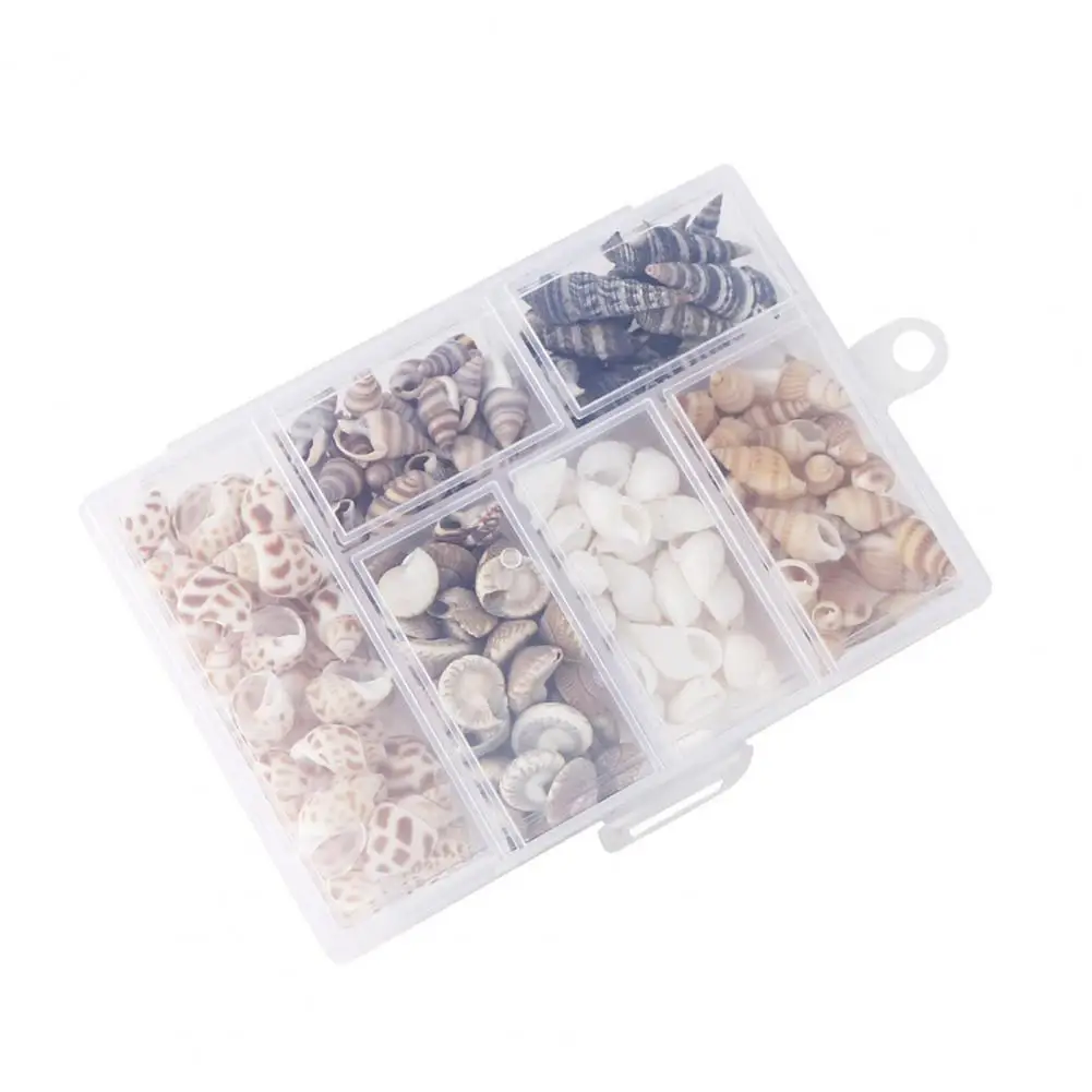 Ornamento de acuario de 100 g/caja, artesanía fina, concha de micropaisaje, conchas, decoración de pecera - imagen 5