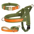 Green Collar Harness