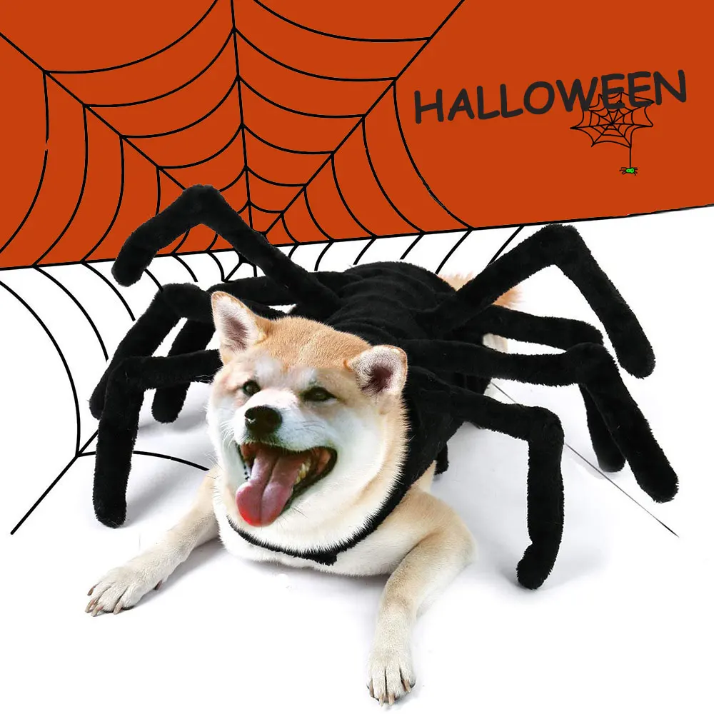 Disfraz de araña negra para Halloween, ropa divertida para mascotas, accesorios para gatos, perros pequeños, medianos y grandes - imagen 2