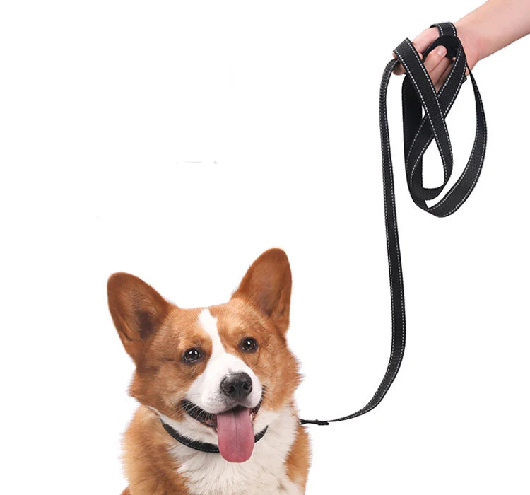 Correas de nailon para mascotas pequeñas y medianas, correa reflectante de seguridad para perros con hebilla de alta resistencia, accesorios para mascotas Chihuahua York Beagle - imagen 3