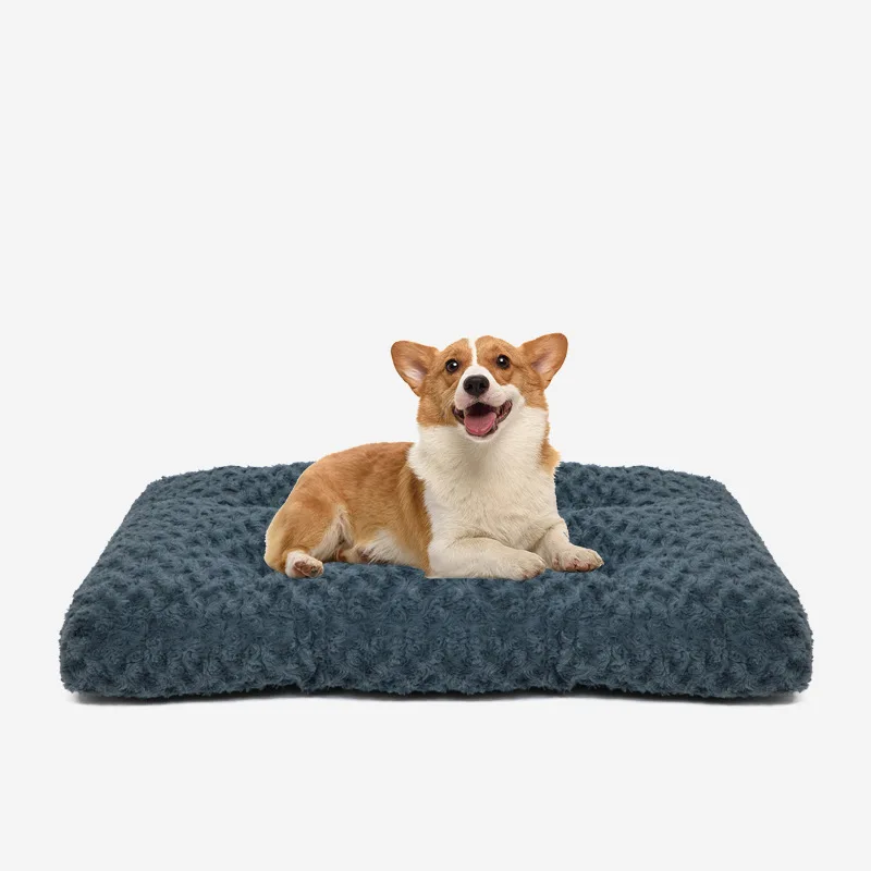 Cama sofá lavable para gatos y perros pequeños – Suave y cálida - imagen 5