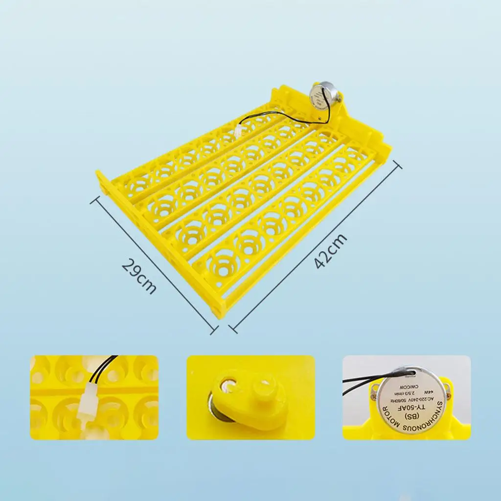 Egg Incubator Tray Automatic Turning Small er Household 220V 32 Eggs Tray for Bird Poultry Chick Duck Eggs Egg Incubator Tray Automatic Turning Small er Household 220V 32 Eggs Tray for Bird Poultry Chick Duck Eggs