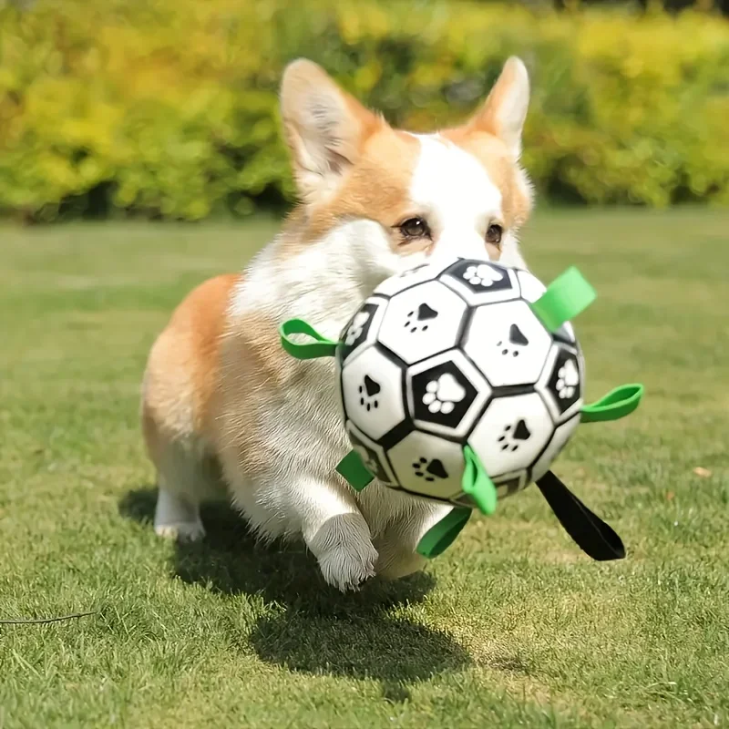 Balón de fútbol interactivo para perros, juguete resistente a mordeduras y dientes, pelota para masticar para perros, juguete para entrenar y jugar para todas las razas - imagen 4