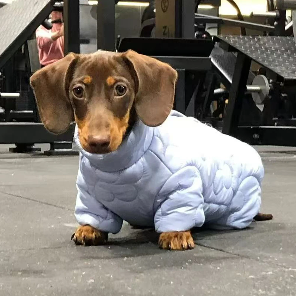 Chaqueta de plumón térmica para perro salchicha, abrigo invernal - imagen 4