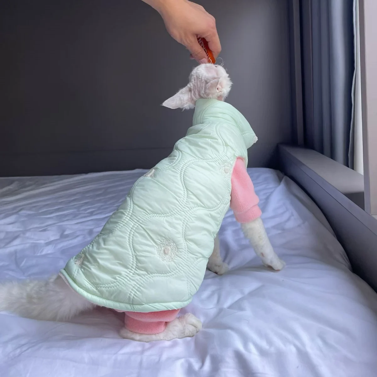 Chaqueta gruesa de lana a prueba de viento para gato Sphynx, abrigo verde cálido con botones y cuello alto para gatitos, ropa de descanso para Devon Rex, invierno - imagen 3