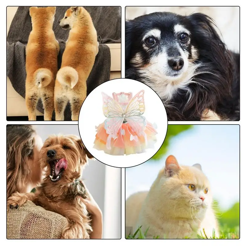 Vestido de princesa para mascotas, ropa de mariposa arcoíris para gatos y perros pequeños, precioso diseño colorido de ala de mariposa para primavera y verano - imagen 5