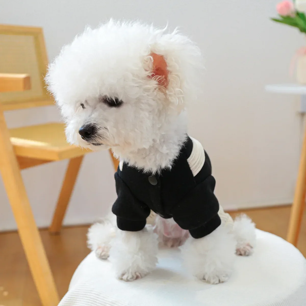 Monos de pana con forma de estrella para mascotas, pantalones bonitos de cuatro patas para mascotas, mono para cachorros y gatos, ropa, monos con estrellas de otoño e invierno - imagen 3