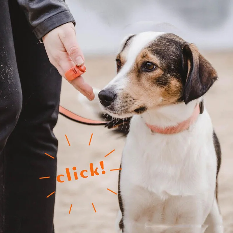 Clicker entrenamiento bajo estrés para perros y gatos - imagen 2