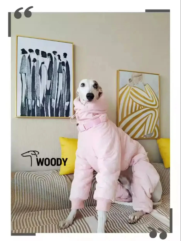 Ropa rosa de Whippet para niña, abrigo acolchado con cuello de tortuga para perro, Chaqueta de algodón ajustable cálida para galgo italiano, invierno - imagen 5