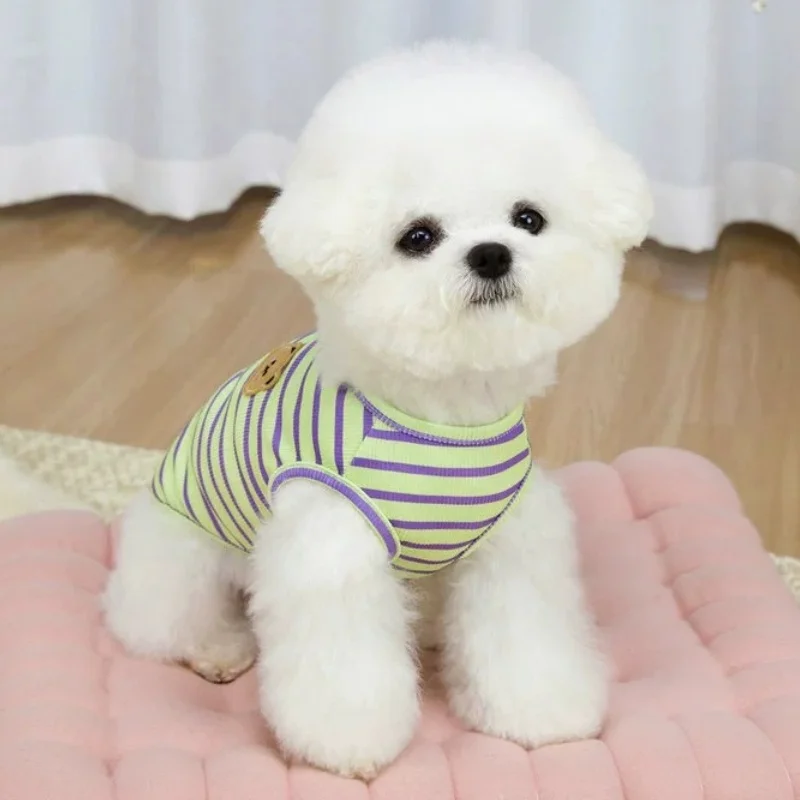 Chaleco estampado de oso para perro – Ropa de verano para Bichón