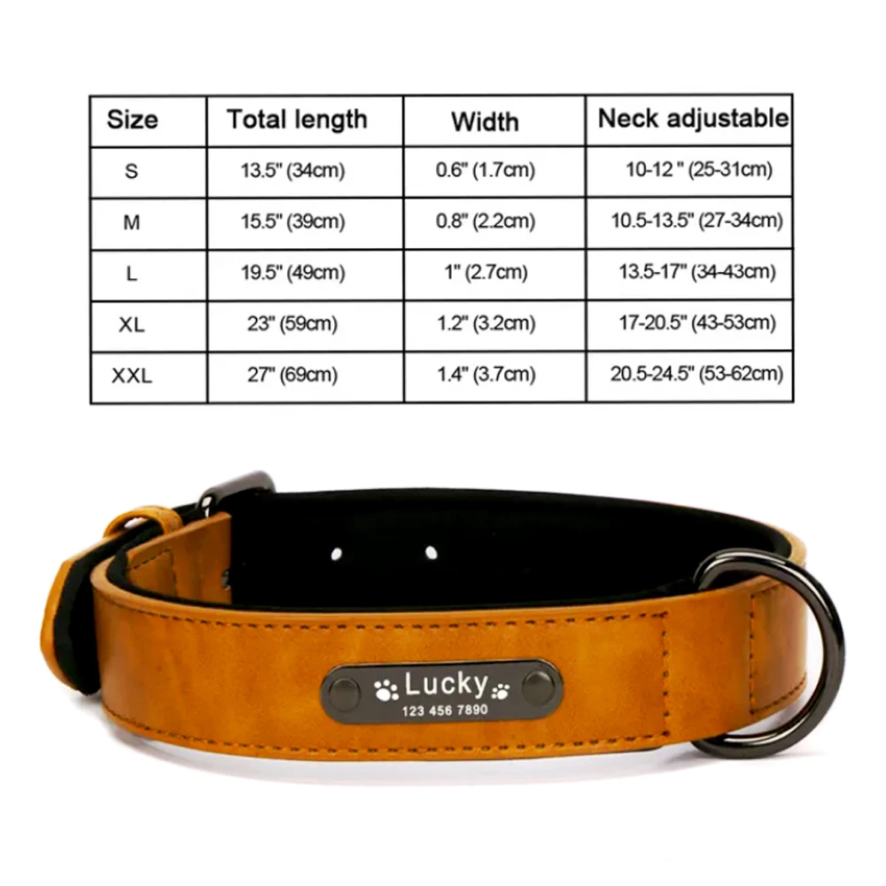 Dark Orange Collar