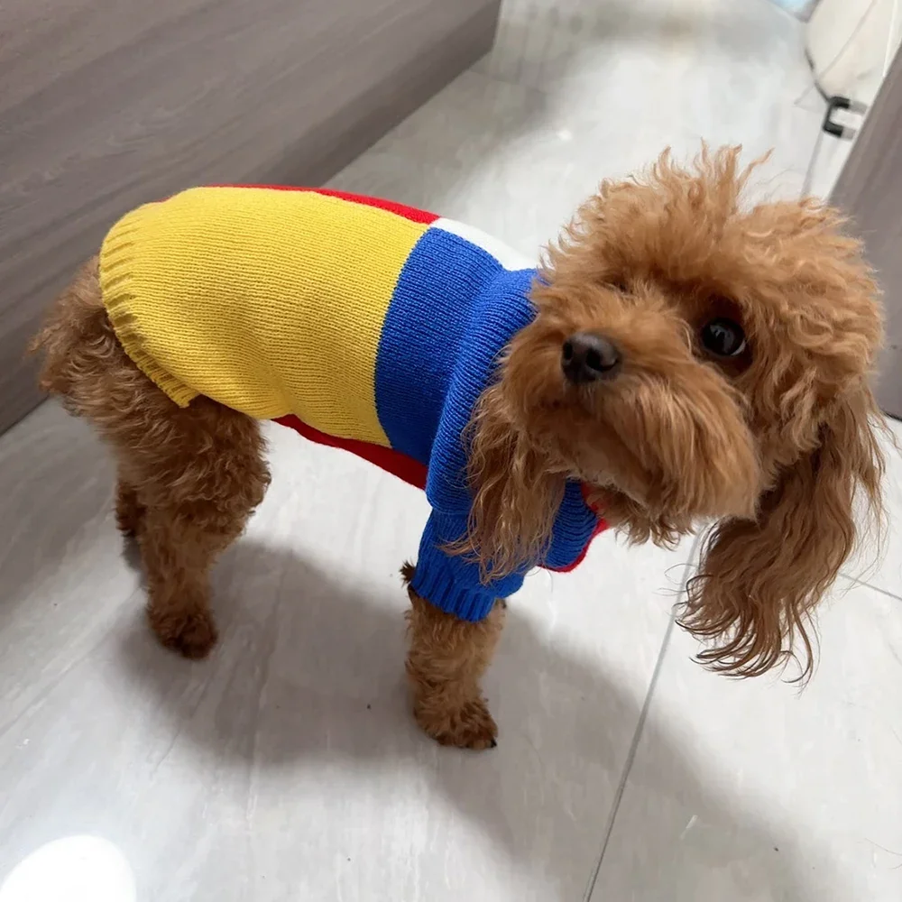 Suéter para perros empalmados de cuatro colores, ropa para mascotas de otoño e invierno para perros pequeños, ropa para cachorros de perro salchicha Yorkshire, ropa para cachorro - imagen 4