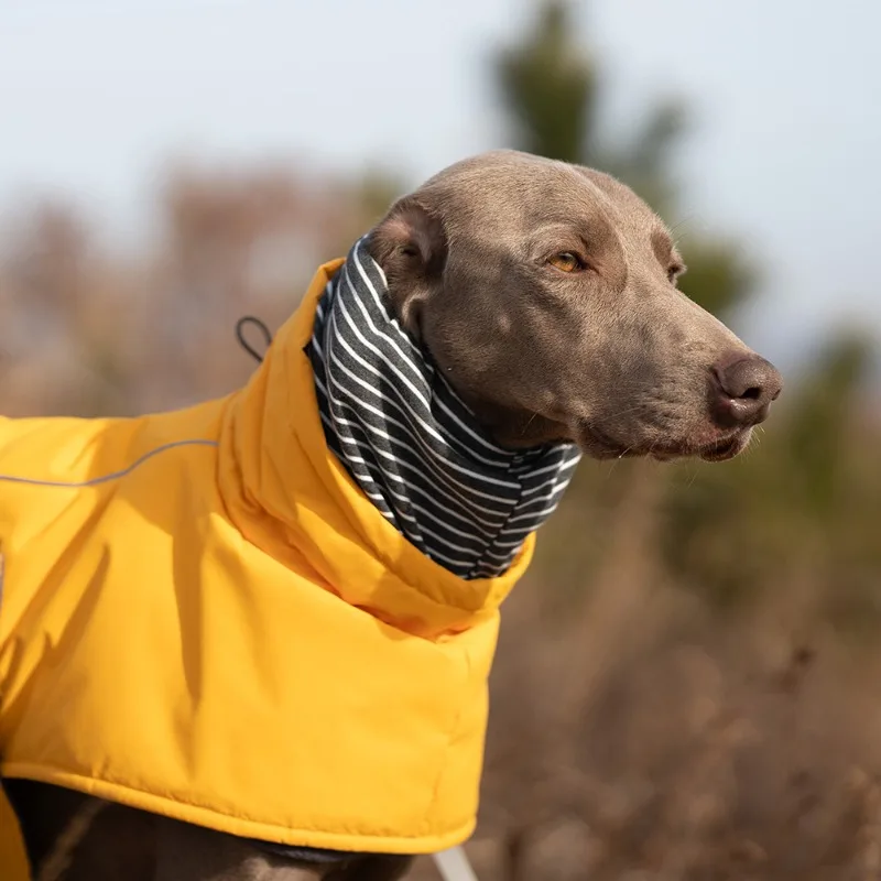 Abrigo impermeable para perros grandes – Reflectante y cortavientos - imagen 5