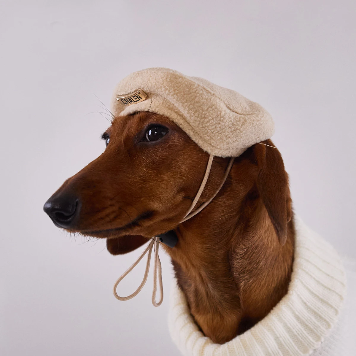 Boina de lana ajustable para perro Wiener – otoño invierno - imagen 2