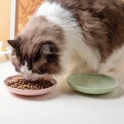 Plato cerámico sin borde para gato con base antideslizante