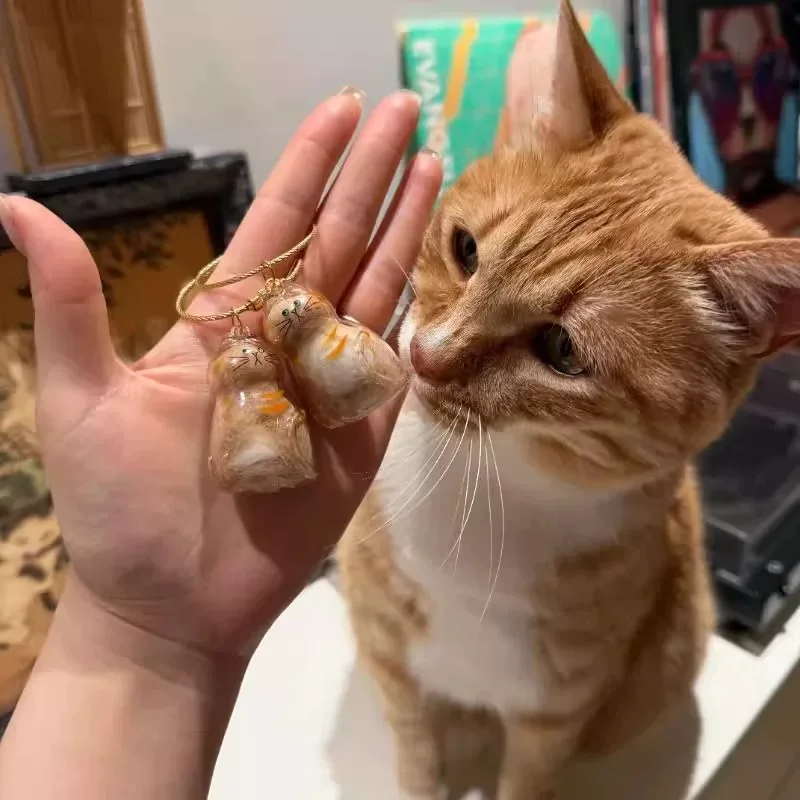 Llavero con colgante de almacenamiento de pelo de gato, Mini cápsula transparente, recuerdo para amantes de los gatos, bonito soporte de memoria coleccionable, dije para bolsa - imagen 4