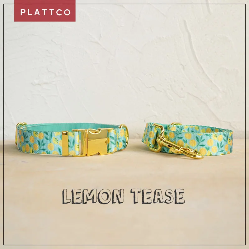 Conjunto de paseo para perro estampado limón con hebilla dorada