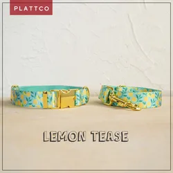 Conjunto de paseo para perro estampado limón con hebilla dorada