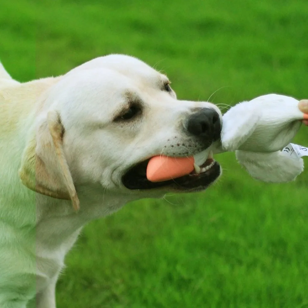 Juguete interactivo chirriante para perros, juguete para masticar Molar resistente a mordeduras con sonido divertido, juguete para aliviar el aburrimiento, - imagen 2