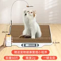 pet scale Package 1