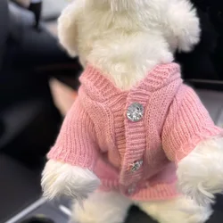 Suéter con capucha de otoño/invierno para mascotas, Teddy Schnauzer para gatos, abrigo de otoño/invierno, ropa para perros pequeños, ropa para cachorros
