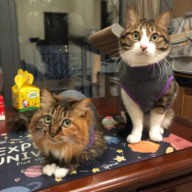 Chaleco de lana para perros, abrigo cálido de invierno para cachorros y gatos, para Chihuahua, Bulldog Francés, Pug, chaleco suave para mascotas, ropa de otoño y primavera