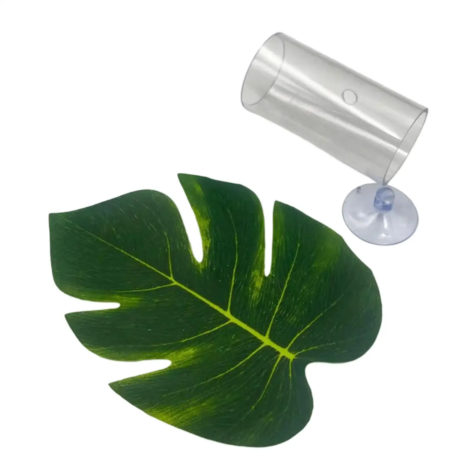 Betta Fish Tube Tunnel Shelter Habitat for Sleeping Playing Aquarium Hideout