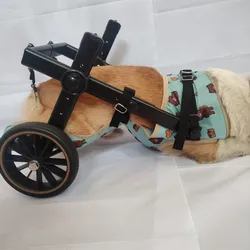 Silla de ruedas ajustable para perros y gatos – Soporte patas traseras