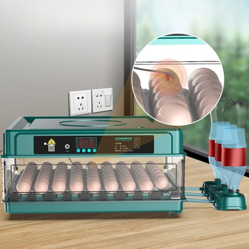 Incubadora automática para huevos de gallina y codorniz – 50 huevos - imagen 2