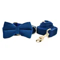 Bow Collar Leash Set