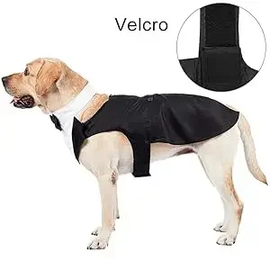 Big Dog Tuxedo Wedding Party Pet Costumes