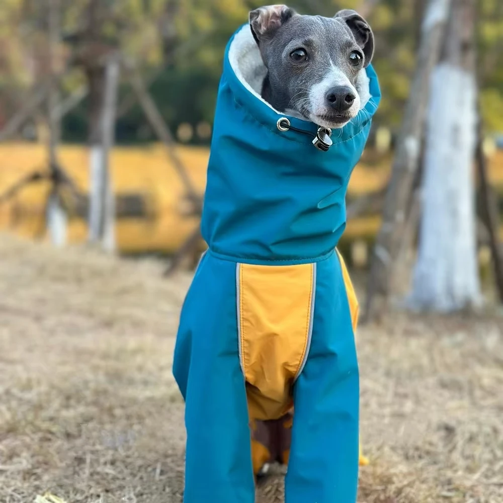 Ropa de moda para perros galgo italiano, sudadera cálida de 4 patas con cuello alto para perros, chaqueta de invierno, abrigo, ropa de descanso suave para Bellington - imagen 5