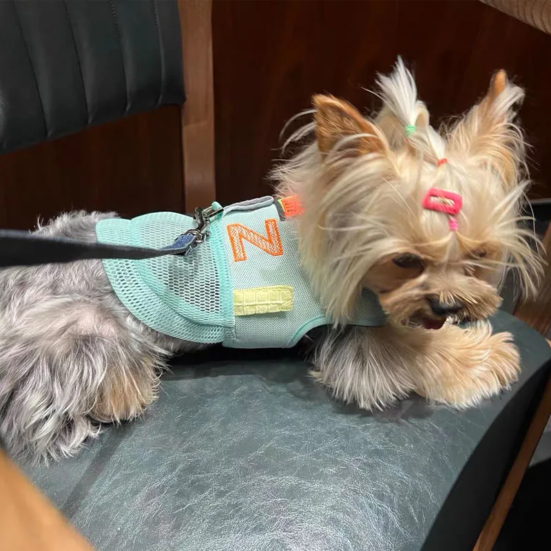 Arnés de malla de lujo para mascotas, chaleco refrescante para perros de verano para Schnauzer, Teddy de Pomerania, arnés ajustable transpirable para viajes de mascotas y paseo - imagen 3