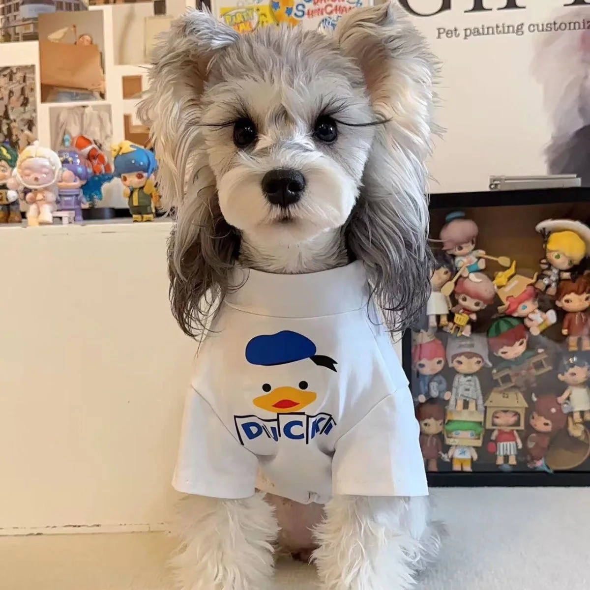 Camiseta de peluche Bichon Schnauzer para perro, disfraz de gato, camisa de primavera y verano para mascotas, ropa transpirable para chihuahua - imagen 4
